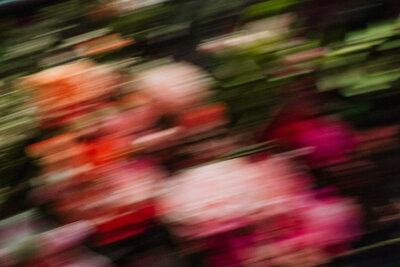 Broadwell_RunningThroughFlowers_Photography