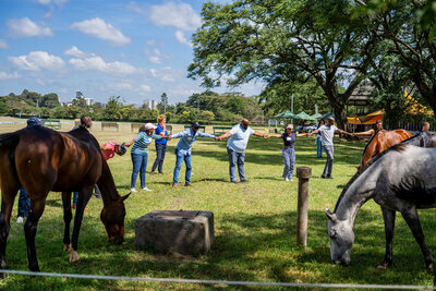 Leadership & life coach and Team Faciliator supporting change-makers to transform their lives & teams through self-connection and unique activities. Horse-led session with a herd of horses in liberty in Kenya with Linda jazzar