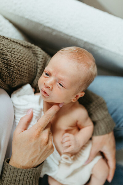 Concord newborn photographer