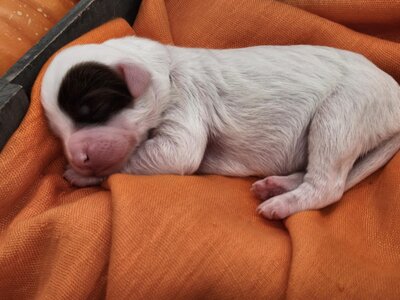 91c2873c-7c8c-4782-b033-2ba40bd29a45