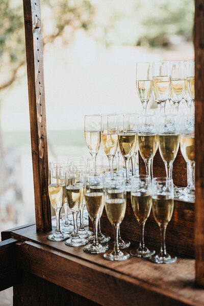Rows of champagne in champagne glasses