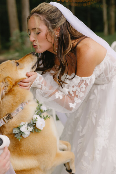 Bride in her wedding dress almost kissing her puppy
