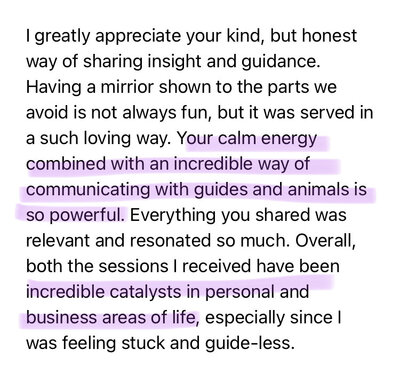 animal communication testimonial