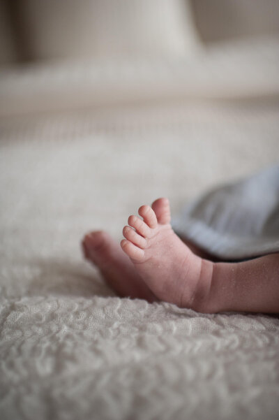 Tiny toes captured in this photo at a newborn photography session in Colorado Springs