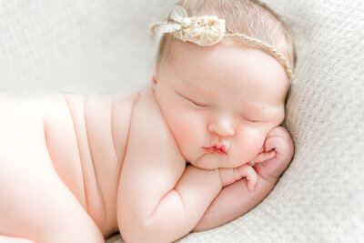 winery newborn photography in traverse city