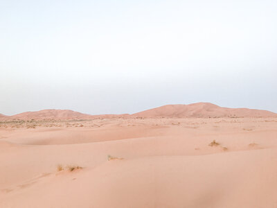 Traveler in the Sahara desert