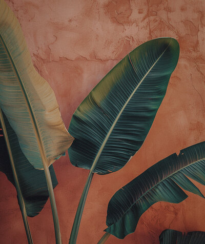 Lush tropical leaves set against a warm terracotta backdrop — symbolizing natural brand evolution and grounded, soulful strategy.
