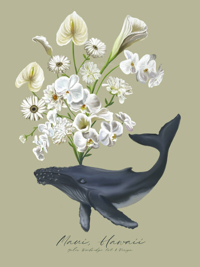 Illustration of a humpback whale exhaling a big boquet of white flowers