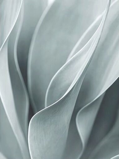 Nouvelle Amour Transformational Healing Retreats