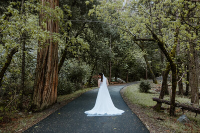 Bride walking alone on forest trail during Oregon elopement