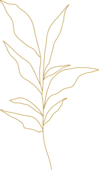 yellow illustration of leaves