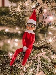 Scout Elf sitting in a Christmas tree