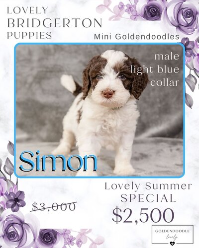 Bridgerton - Light Blue Simon Male