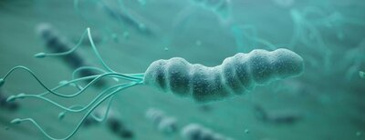 H Pylori