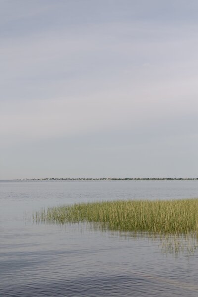 Seagrass peeks out during high tide in Newburyport Massachusetts