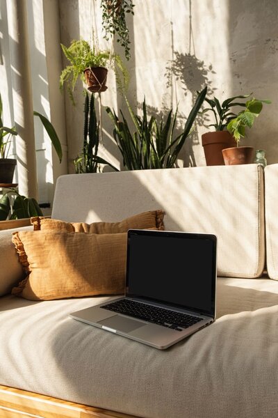 Laptop on a sunlit couch with warm pillows and thriving houseplants—evoking grounded energy and intentional work-from-home flow