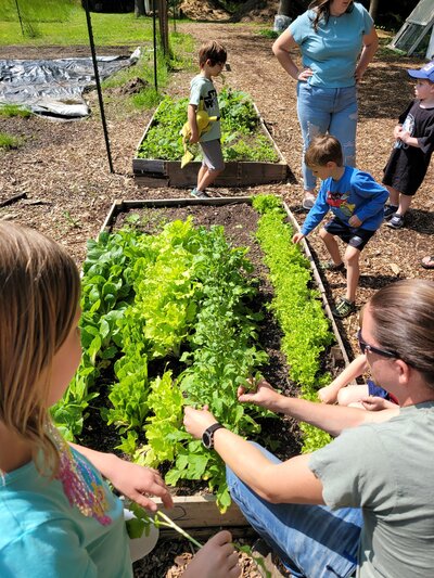 4 kids and 2 adults tending to a growing green garden. 