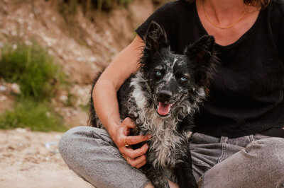 Elis-Fotografie-Hundefotografin-Solothurn-Tiefotografin-Biel-Paarfotos Solothurn-Hochzeitsfotograf-Bern22