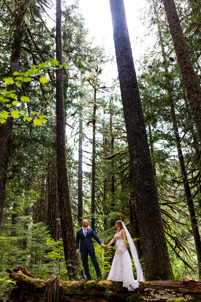 bride and groom in forest