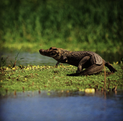 trip-to-peru-itinerary-12