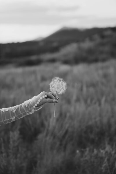 destination elopement photographer
