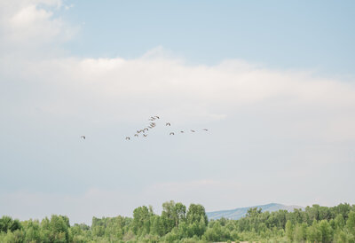Wedding views | Snake River Ranch