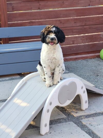 bb2e22ea-3cf5-4949-b6e8-baedf55a72fc