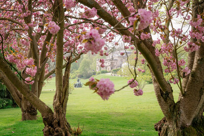 A view through blooming trees at the Royal Palace in Brussels, Belgium