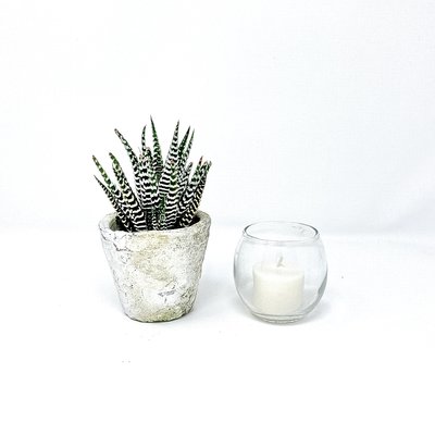 decor- candles round