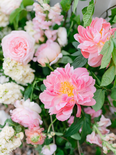 Close up on blush and pink wedding flowers
