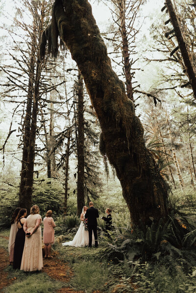 Bride and groom saying vows to each other at their elopement ceremony in the rainforest