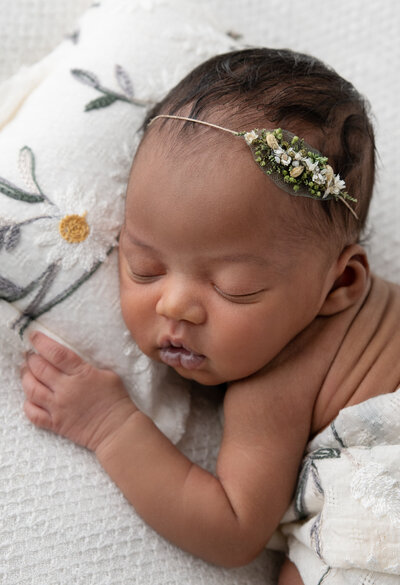 newborn girl on white background with daises