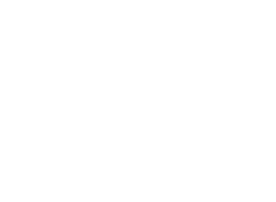MITCHELSON FILM LOGO WHITE