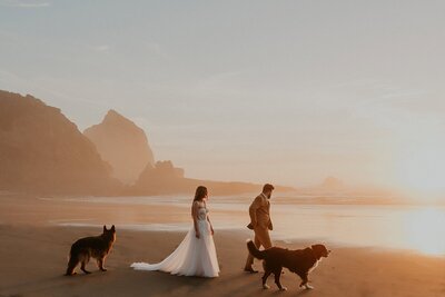 A couple in elopement attire walk on the beach at sunset with two dogs