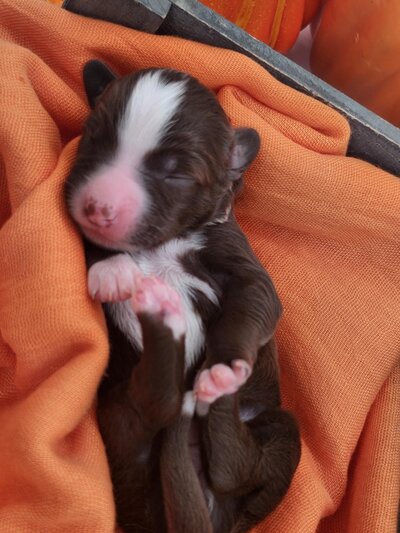 7c61bf62-e1f5-4750-9a8d-58b6e8efe4bc