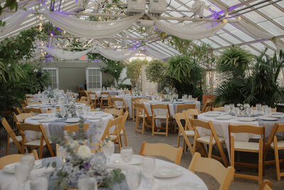 A gorgeous photograph of a wedding reception at the Buffalo Botanical gardens. All of the tables are set with beautiful blue and white floral arrangements under a canopy of chiffon drapery, in the greenhouse. Photo by Dash and Boheme Photography. 