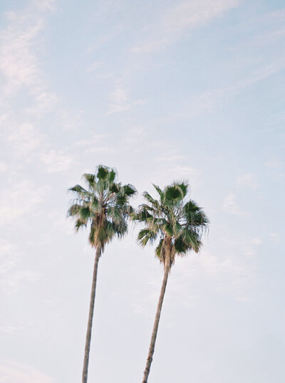 DC-Wedding-Photographer-42