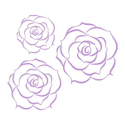 Illustration of three purple roses