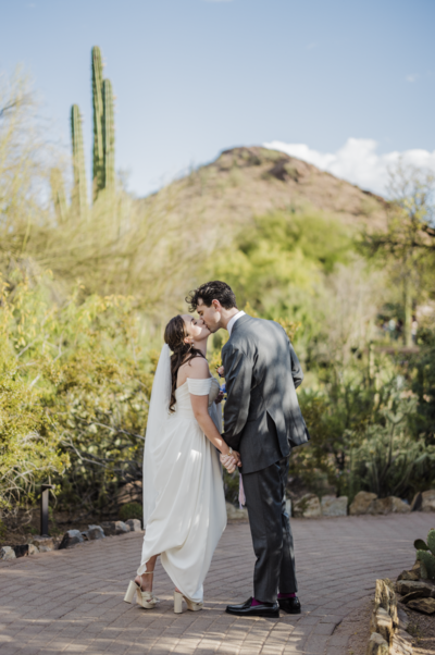 Chicago Wedding Photographer