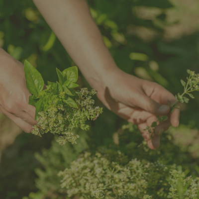 endometrosis, period pain, fertility, periods, herbal medicine, chinese medicine, women's health, hormone health, trying to conceive
