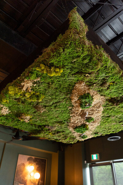Contemporary lighting and natural wood accents highlighting Revé’s farm-to-fire design