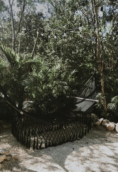 brianna-r-i0Tm95xvkCg-unsplash