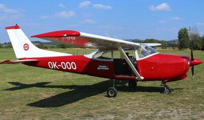 Ein Kleinflugzeug mit roter Lackierung steht auf einer grünen Wiese