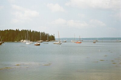 sailboats in the ocean