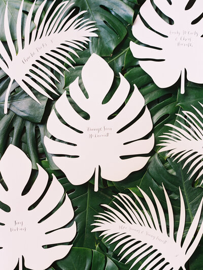 White die cut palm leaf escort card display