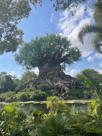 Tree of Life