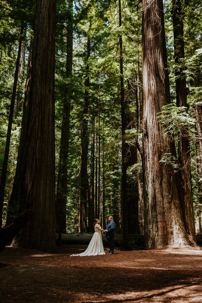 yosemite elopement photographer