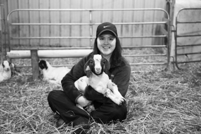 livestock show