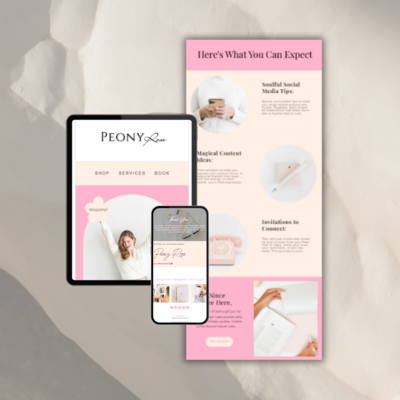Peony Rose Welcome Email Stock Photo