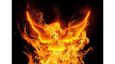 Phoenix rising from the ashes